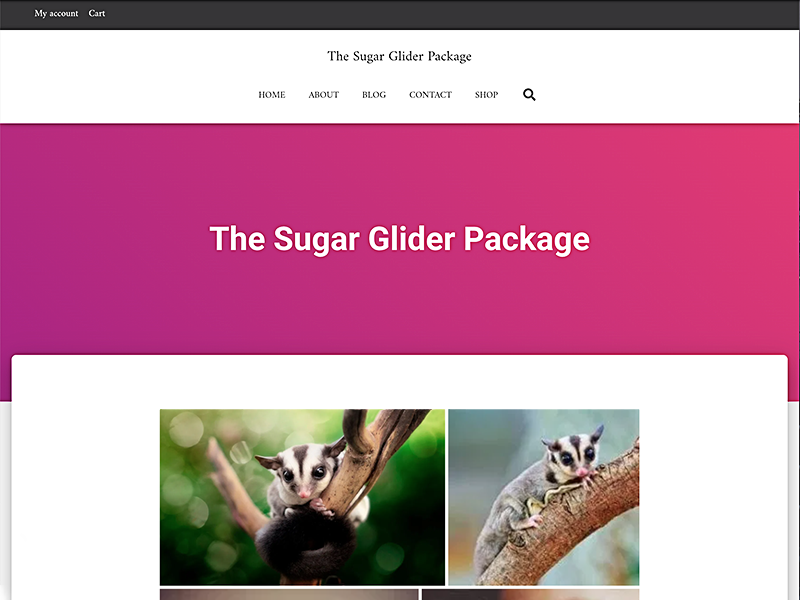 The Sugar Glider Package